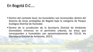 En Bogotá D.C….
 Dentro del contexto local, los humedales son reconocidos dentro del
Sistema de áreas protegidas de Bogotá bajo la categoría de Parque
Ecológico Distrital de Humedal.
 Dentro de la jurisdicción de la Secretaría Distrital de Ambiente
(humedales inmersos en el perímetro urbano), las áreas que
corresponden a humedales son aproximadamente de 725.01 Ha
(Secretaría Distrital de Ambiente, 2017).
 