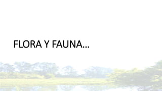 FLORA Y FAUNA…
 