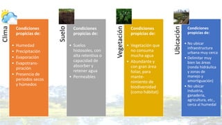 Clima
• Condiciones
propicias de:
• Humedad
• Precipitación
• Evaporación
• Evapotrans-
piración
• Presencia de
periodos secos
y húmedos
Suelo
• Condiciones
propicias de:
• Suelos
histosoles, con
alta retentiva o
capacidad de
absorber y
retener agua
• Permeables
Vegetación
• Condiciones
propicias de:
• Vegetación que
no consuma
mucha agua
• Abundante y
con gran área
foliar, para
mante-
nimiento de
biodiversidad
(como hábitat)
Ubicación
• Condiciones
propicias de:
• No ubicar
infraestructura
urbana muy cerca
• Delimitar muy
bien las áreas
(ronda hidráulica
y zonas de
manejo y
amortiguación)
• No ubicar
industria,
ganadería,
agricultura, etc.,
cerca al humedal
 