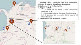 En Colombia…
Colombia posee 6 humedales o cuerpos de agua dentro de la lista
RAMSAR:
1. Sistema Delta Estuarino del Río Magdalena, Ciénaga Grande de Santa
Marta, Magdalena (declaración: junio 18 de 1998).
2. La laguna de la Cocha, Nariño (declaración: enero 8 de 2001).
3. El Delta del Río Baudó, Chocó (declaración: junio 5 de 2004).
4. Sistema Lacustre de Chingaza, Cundinamarca (declaración: junio 25 de
2008).
5. El complejo de humedales de la Laguna del Otún, Risaralda (declaración:
junio 25 de 2008).
6. La estrella fluvial del Inírida, Guainía (declaración: julio 8 de 2014).
Sistema Delta Estuarino del Río Magdalena, Ciénaga Grande de Santa Marta, Magdalena (declaración: junio 18 de 1998).
La laguna de la Cocha, Nariño (declaración: enero 8 de 2001).
El Delta del Río Baudó, Chocó (declaración: junio 5 de 2004).
Sistema Lacustre de Chingaza, Cundinamarca (declaración: junio 25 de 2008).
El complejo de humedales de la Laguna del Otún, Risaralda (declaración: junio 25 de 2008).
La estrella fluvial del Inírida, Guainía (declaración: julio 8 de 2014).
1. Sistema Delta Estuarino del Río Magdalena,
Ciénaga Grande de Santa Marta, Magdalena
2. La laguna de la Cocha, Nariño
3. Región central.
3.1. El Delta del Río Baudó, Chocó (declaración:
junio 5 de 2004).
3.2. Sistema Lacustre de Chingaza, Cundinamarca
3.3. El complejo de humedales de la Laguna del
Otún, Risaralda
4. La estrella fluvial del Inírida, Guainía
 