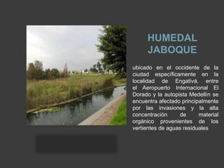 HUMEDAL
     JABOQUE
ubicado en el occidente de la
ciudad específicamente en la
localidad de Engativá, entre
el Aeropuerto Internacional El
Dorado y la autopista Medellín se
encuentra afectado principalmente
por las invasiones y la alta
concentración     de      material
orgánico provenientes de los
vertientes de aguas residuales
 