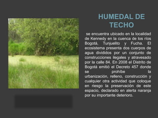 HUMEDAL DE
          TECHO
 se encuentra ubicado en la localidad
de Kennedy en la cuenca de los ríos
Bogotá, Tunjuelito y Fucha. El
ecosistema presenta dos cuerpos de
agua divididos por un conjunto de
construcciones ilegales y atravesado
por la calle 84. En 2008 el Distrito de
Bogotá emitió el Decreto 457 donde
se               prohíbe              la
urbanización, relleno, construcción y
cualquier otra actividad que coloque
en riesgo la preservación de este
espacio, declarado en alerta naranja
por su importante deterioro.
 