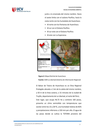 FACULTAD DE INGENIERIA
ESCUELA DE INGENIERIA AMBIENTAL
CONTAMINACIÓN DE SUELOS DE LOS HUMEDALES DE
HUANCHACO
10
junto a la ensenada del mismo nombre. Hacia
el oeste limita con el océano Pacífico, hacia la
costa norte con los humedales de Huanchaco.
• Al norte con los Pantanos de Huanchaco.
• Al sur con el Océano Pacífico.
• Al sur-este con el Océano Pacífico.
• Al este con La Esperanza.
El Balsar de Totora de Huanchaco es un Área Regional
Protegida ubicada a 1 km de la caleta del mismo nombre,
a 50 m de la línea costera, a 15 minutos de la ciudad de
Trujillo, departamento de La Libertad, al norte del Perú.
Este lugar, que ocupa 46.72 Ha y contiene 160 pozas,
presenta un clima semicálido con temperaturas que
oscilan entre los 15 y 28 ºC, una humedad relativa de 82%
y precipitaciones inferiores a 150 mm por año. El agua de
las pozas donde se cultiva la TOTORA proviene del
Figura 2: Mapa Distrital de Huanchaco
Fuente: SIAR La Libertad (Sistema de Información Regional)
 