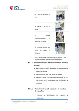 FACULTAD DE INGENIERIA
ESCUELA DE INGENIERIA AMBIENTAL
CONTAMINACIÓN DE SUELOS DE LOS HUMEDALES DE
HUANCHACO
16
3º Colocar la bolsa de
20 L.
4º Verter 2 litros de
agua.
5º Retirar
cuidadosamente la
bolsa de 20 litros.
6º Tomar el tiempo que
tarda el agua en
filtrarse.
4.3.2.2. Procedimiento para la recolección de las muestras
de suelo
 Retirar de la superficie agentes no deseables con
ayuda de la pala
 Determinar el área con ayuda de la pala.
 Extraer 1 Kg de suelo de una profundidad de 0 –
10 cm en los 3 humedales que conforman la
muestra.
4.3.2.3. Procedimiento para la recolección de muestras
de macroflora
• Primero se identificaron las especies a
recolectar.
NOTA: Realizar este procedimiento X2; debido a que
se toma el tiempo del segundo procedimiento.
 