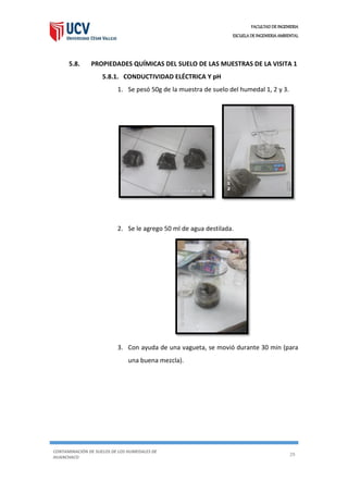 FACULTAD DE INGENIERIA
ESCUELA DE INGENIERIA AMBIENTAL
CONTAMINACIÓN DE SUELOS DE LOS HUMEDALES DE
HUANCHACO
29
5.8. PROPIEDADES QUÍMICAS DEL SUELO DE LAS MUESTRAS DE LA VISITA 1
5.8.1. CONDUCTIVIDAD ELÉCTRICA Y pH
1. Se pesó 50g de la muestra de suelo del humedal 1, 2 y 3.
2. Se le agrego 50 ml de agua destilada.
3. Con ayuda de una vagueta, se movió durante 30 min (para
una buena mezcla).
 