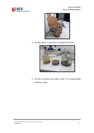 FACULTAD DE INGENIERIA
ESCUELA DE INGENIERIA AMBIENTAL
CONTAMINACIÓN DE SUELOS DE LOS HUMEDALES DE
HUANCHACO
30
4. Se dejó reposar la mezcla por un espacio de 10 min.
5. Se filtró la mezcla para poder medir el la conductividad
eléctrica y el pH.
 