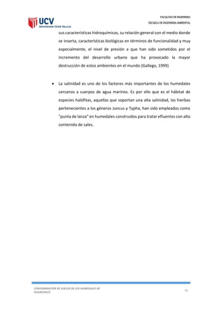 FACULTAD DE INGENIERIA
ESCUELA DE INGENIERIA AMBIENTAL
CONTAMINACIÓN DE SUELOS DE LOS HUMEDALES DE
HUANCHACO
41
sus características hidroquímicas, su relación general con el medio donde
se inserta, características biológicas en términos de funcionalidad y muy
especialmente, el nivel de presión a que han sido sometidos por el
incremento del desarrollo urbano que ha provocado la mayor
destrucción de estos ambientes en el mundo (Gallego, 1999)
 La salinidad es uno de los factores más importantes de los humedales
cercanos a cuerpos de agua marinos. Es por ello que es el hábitat de
especies halófitas, aquellas que soportan una alta salinidad, las hierbas
pertenecientes a los géneros Juncus y Typha, han sido empleados como
"punta de lanza" en humedales construidos para tratar efluentes con alto
contenido de sales.
 