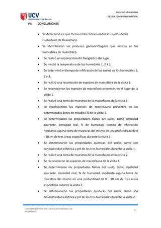 FACULTAD DE INGENIERIA
ESCUELA DE INGENIERIA AMBIENTAL
CONTAMINACIÓN DE SUELOS DE LOS HUMEDALES DE
HUANCHACO
42
VII. CONCLUSIONES
 Se determinó en qué forma están contaminados los suelos de los
Humedales de Huanchaco.
 Se identificaron los procesos geomorfológicos que existen en los
humedales de Huanchaco.
 Se realizó un reconocimiento fisiográfico del lugar.
 Se medió la temperatura de los humedales 1, 2 Y 3.
 Se determinó el tiempo de infiltración de los suelos de los humedales 1,
2 y 3.
 Se realizó una recolección de especies de macroflora de la visita 1.
 Se reconocieron las especies de macroflora presentes en el lugar de la
visita 1.
 Se realizó una toma de muestras de la macrofauna de la visita 1.
 Se reconocieron las especies de macrofauna presentes en las
determinadas áreas de estudio (3) de la visita 1.
 Se determinaron las propiedades físicas del suelo, como densidad
aparente, densidad real, % de humedad, tiempo de infiltración
mediante alguna toma de muestras del mismo en una profundidad de 0
- 10 cm de tres áreas específicas durante la visita 1.
 Se determinaron las propiedades químicas del suelo, como son
conductividad eléctrica y pH de los tres humedales durante la visita 1.
 Se realizó una toma de muestras de la macrofauna en la visita 2.
 Se reconocieron las especies de macrofauna de la visita 2.
 Se determinaron las propiedades físicas del suelo, como densidad
aparente, densidad real, % de humedad, mediante alguna toma de
muestras del mismo en una profundidad de 0 - 10 cm de tres áreas
específicas durante la visita 2.
 Se determinaron las propiedades químicas del suelo, como son
conductividad eléctrica y pH de los tres humedales durante la visita 2.
 