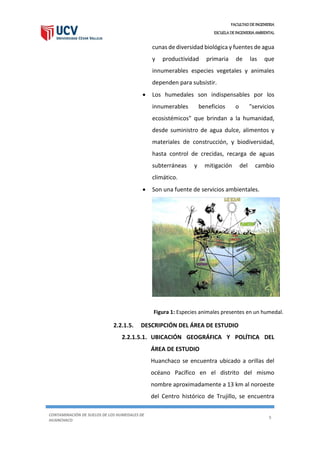 FACULTAD DE INGENIERIA
ESCUELA DE INGENIERIA AMBIENTAL
CONTAMINACIÓN DE SUELOS DE LOS HUMEDALES DE
HUANCHACO
9
cunas de diversidad biológica y fuentes de agua
y productividad primaria de las que
innumerables especies vegetales y animales
dependen para subsistir.
 Los humedales son indispensables por los
innumerables beneficios o "servicios
ecosistémicos" que brindan a la humanidad,
desde suministro de agua dulce, alimentos y
materiales de construcción, y biodiversidad,
hasta control de crecidas, recarga de aguas
subterráneas y mitigación del cambio
climático.
 Son una fuente de servicios ambientales.
2.2.1.5. DESCRIPCIÓN DEL ÁREA DE ESTUDIO
2.2.1.5.1. UBICACIÓN GEOGRÁFICA Y POLÍTICA DEL
ÁREA DE ESTUDIO
Huanchaco se encuentra ubicado a orillas del
océano Pacífico en el distrito del mismo
nombre aproximadamente a 13 km al noroeste
del Centro histórico de Trujillo, se encuentra
Figura 1: Especies animales presentes en un humedal.
 