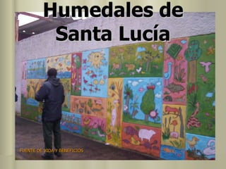 Humedales de Santa Lucía FUENTE DE VIDA Y BENEFICIOS 