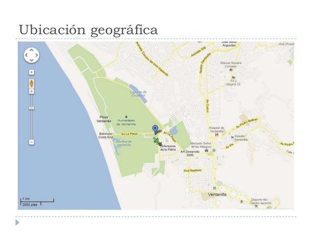 Resultado de imagen para humedales de ventanilla ubicacion