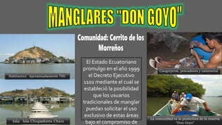 Humedales isla isablea don goyo. PPT