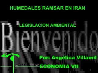 Por: Angélica Villamil ECONOMIA VII  HUMEDALES RAMSAR EN IRAN LEGISLACION AMBIENTAL 