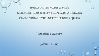 UNIVERSIDAD CENTRAL DEL ECUADOR
FACULTAD DE FILOSOFÍA, LETRAS Y CUENCIAS DE LA EDUCACIÓN
CIENCIAS NATURALES Y DEL AMBIENTE, BIOLOGÍA Y QUÍMICA
HUMEDALES Y MARISMAS
JASON LLULLUNA
 