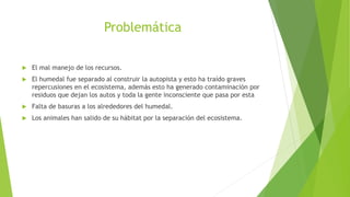 Problemática 
 El mal manejo de los recursos. 
 El humedal fue separado al construir la autopista y esto ha traído graves 
repercusiones en el ecosistema, además esto ha generado contaminación por 
residuos que dejan los autos y toda la gente inconsciente que pasa por esta 
 Falta de basuras a los alrededores del humedal. 
 Los animales han salido de su hábitat por la separación del ecosistema. 
 