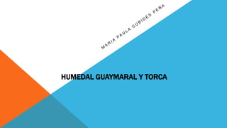 HUMEDAL GUAYMARAL Y TORCA
 