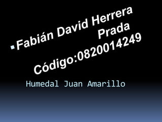 Fabián David Herrera Prada		Código:0820014249 Humedal Juan Amarillo 