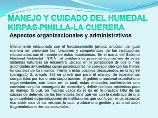 Aspectos organizacionales y administrativos
Íntimamente relacionado con el fraccionamiento jurídico anotado, de igual
manera se presentan las funciones y competencias de las instituciones
relacionadas con el manejo de estos ecosistemas. En el marco del Sistema
Nacional Ambiental - SINA - el problema se presenta cuando uno de estos
sistemas naturales se encuentra ubicado en la jurisdicción de dos o más
autoridades ambientales cuyas jurisdicciones no corresponden con los limites
funcionales de los mismos. Frente a estos posibles desacuerdos, en la ley 99
(parágrafo 3, artículo 33) se prevé que para el manejo de ecosistemas
compartidos por dos o más corporaciones, el gobierno nacional expedirá una
reglamentación, con base en la cual, estas entidades conformarán una
comisión conjunta encargada de concertar y definir políticas armónicas para
su manejo, lo cual, en muchos casos no se da en la práctica. Otra de las
causas de deterioro de los humedales tiene que ver con la existencia de una
gran cantidad de jurisdicciones de instituciones que confluyen en os espacios
eco sistémicos de los mismos, lo cual, produce una gestión y administración
fragmentadas en temas sectoriales.
 