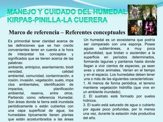 Marco de referencia – Referentes conceptuales
Es primordial tener claridad acerca de        Un humedal es un ecosistema que podría
las definiciones que se han creído            ser comparado con una esponja. Posee
convenientes tener en cuenta a la hora        aguas     subterráneas,    a   muy      poca
de     interpretar   los  conceptos       y   profundidad, que brotan o ascienden a la
significados que se tienen acerca de las      superficie en períodos determinados,
palabras:                                     formando lagunas y pantanos hasta donde
ambiente, antrópico, asentamiento, biodi      llegan a vivir cientos de especies, ya sean
versidad,                          calidad    aves u otros animales. Varían en el tiempo
ambiental, comunidad, contaminación, e        y en el espacio. Los humedales deben tener
rosión, invasión, vegetación, suelo, impa     una o más de las siguientes características:
ctos ambientales, identificación de           1. Al menos de forma periódica, el terreno
impactos,                    planificación    mantiene vegetación hidrófila (que vive en
ambiental,      reserva,   entre     otros.   un ambiente inundado).
Partiendo como referencia Humedal.            2. El sustrato está formado por suelos
Son áreas donde la tierra está inundada       hídricos.
periódicamente o están cubiertos con          3. El suelo está saturado de agua o cubierto
una capa superficial de agua; los             por aguas poco profundas, por lo menos
humedales típicamente tienen plantas          una vez, durante la estación más productiva
que están acostumbrados a las áreas           del año.
 