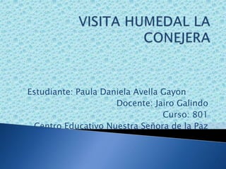 Estudiante: Paula Daniela Avella Gayon
Docente: Jairo Galindo
Curso: 801
Centro Educativo Nuestra Señora de la Paz
 