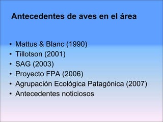 Antecedentes de aves en el área Mattus & Blanc (1990) Tillotson (2001) SAG (2003) Proyecto FPA (2006) Agrupación Ecológica Patagónica (2007) Antecedentes noticiosos 
