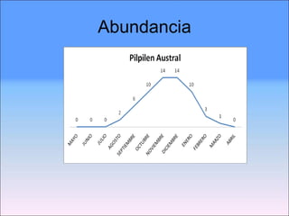 Abundancia 