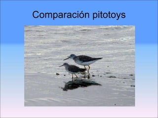 Comparación pitotoys 