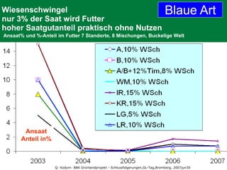 Wiesenschwingel
nur 3% der Saat wird Futter
hoher Saatgutanteil praktisch ohne Nutzen
Ansaat% und %-Anteil im Futter 7 Standorte, 8 Mischungen, Buckelige Welt
Q: Kodym: BBK Grünlandprojekt - Schlussfolgerungen,GL-Tag,Bromberg, 2007jun30
Ansaat
Anteil in%
Blaue Art
 