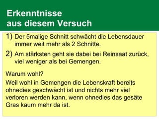 Erkenntnisse
aus diesem Versuch
1) Der 5malige Schnitt schwächt die Lebensdauer
immer weit mehr als 2 Schnitte.
2) Am stärksten geht sie dabei bei Reinsaat zurück,
viel weniger als bei Gemengen.
Warum wohl?
Weil wohl in Gemengen die Lebenskraft bereits
ohnedies geschwächt ist und nichts mehr viel
verloren werden kann, wenn ohnedies das gesäte
Gras kaum mehr da ist.
 