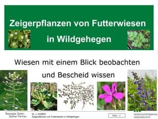 Zeigerpflanzen von Futterwiesen
in Wildgehegen
Wiesen mit einem Blick beobachten
und Bescheid wissen

DI. J: HUMER
Zeigerpflanzen von Futterwiesen in Wildgehegen

Folie - 1

 