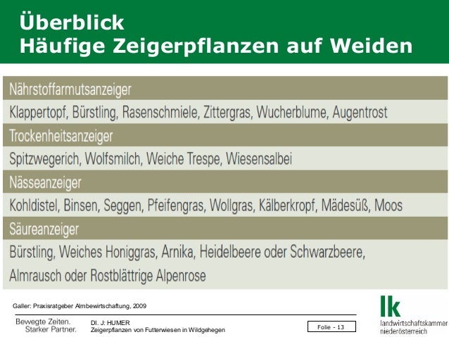 Humer Zeigerpflanzen Von Futterwiesen In Wildgehegen F48 2013 0309