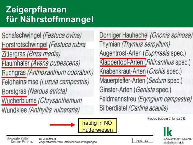 Humer Zeigerpflanzen Von Futterwiesen In Wildgehegen F48 2013 0309