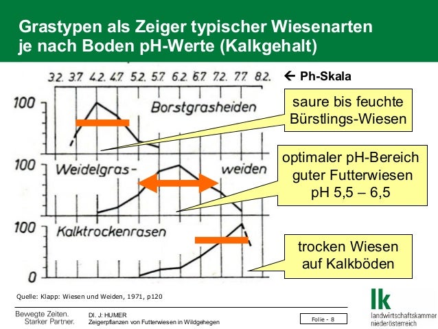 Humer Zeigerpflanzen Von Futterwiesen In Wildgehegen F48 2013 0309