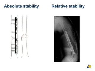 Absolute stability Relative stability
 