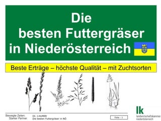 Die
  besten Futtergräser
in Niederösterreich
Beste Erträge – höchste Qualität – mit Zuchtsorten




       DI. J.HUMER
                                       Folie - 1
       Die besten Futtergräser in NÖ
 