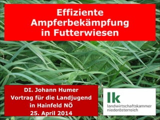 Effiziente
Ampferbekämpfung
in Futterwiesen

DI. Johann Humer
Vortrag für die Landjugend
in Hainfeld NÖ
25. April 2014
DI. J.HUMER, Effektive Ampferbekämpfung

Folie - 1

 