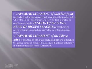 MUSADIQ KHAN
DURRANI 17
 CAPSULAR LIGAMENT of shoulder joint
is attached to the anatomical neck except on the medial side
where the line of attachment is down by 2cm to include a
small area of shaft. TENDON Of the LONG
HEAD OF BICEPS BRACHII leaves the joint
cavity through the aperture provided by Intertubercular
sulcus.
 CAPSULAR LIGAMENT of the Elbow
joint is attached to the lower end along the line & reaches
the upper limits of coronoid fossae & radial fossa anteriorly
& of then olecranon fossa posterioirly.
 