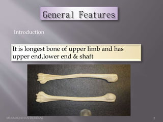 It is longest bone of upper limb and has
upper end,lower end & shaft
Introduction
MUSADIQ KHAN DURRANI 2
 