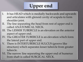 MUSADIQ KHAN
DURRANI 3
I. It has HEAD which is medially backwards and upwards
and articulates with glenoid cavity of scapula to form
shoulder joint.
II. The line separating the head from rest of upper end is
called ANATOMICAL NECK.
III. The LESSER TUBERCLE is an elevation on the anterior
aspect of upper end.
IV. The GREATER TUBERCLE is an elevation which form
the lateral part of upper end.
V. There is INTERTUBERCLE SULCUS (groove like
structure) which separates lesser tubercle from greater
tubercle.
VI. The narrow line separating the upper end of humerus
from shaft is called SURGICAL NECK.
 