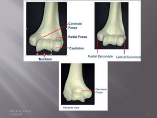 MUSADIQ KHAN
DURRANI 7
 