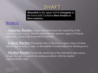 MUSADIQ KHAN
DURRANI 8
•Rounded in the upper half & triangular in
the lower half. Contains three borders &
three surfaces.
Borders:
o Anterior Border: Upper one third forms the Lateral lip of the
intertubercular sulcus. Middle part forms the anterior region of Deltoid
tuberosity. Lower half is smooth & rounded.
o Lateral Border: Prominent only in the lower region where it forms
lateral supracondylar ridge. In the middle it is interrupted by Radial groove.
o Medial Border: Forms the medial lip of the intertubercular sulcus.
Rough through its middle & continuous below with the medial
supracondylar ridge.
 