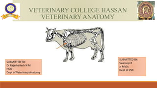 VETERINARY COLLEGE HASSAN
VETERINARYANATOMY
SUBMITTED TO:
Dr Rajashailesh N M
HOD
Dept of Veterinary Anatomy
SUBMITTED BY:
Swaroop R
Jr MVSc
Dept of VSR
 