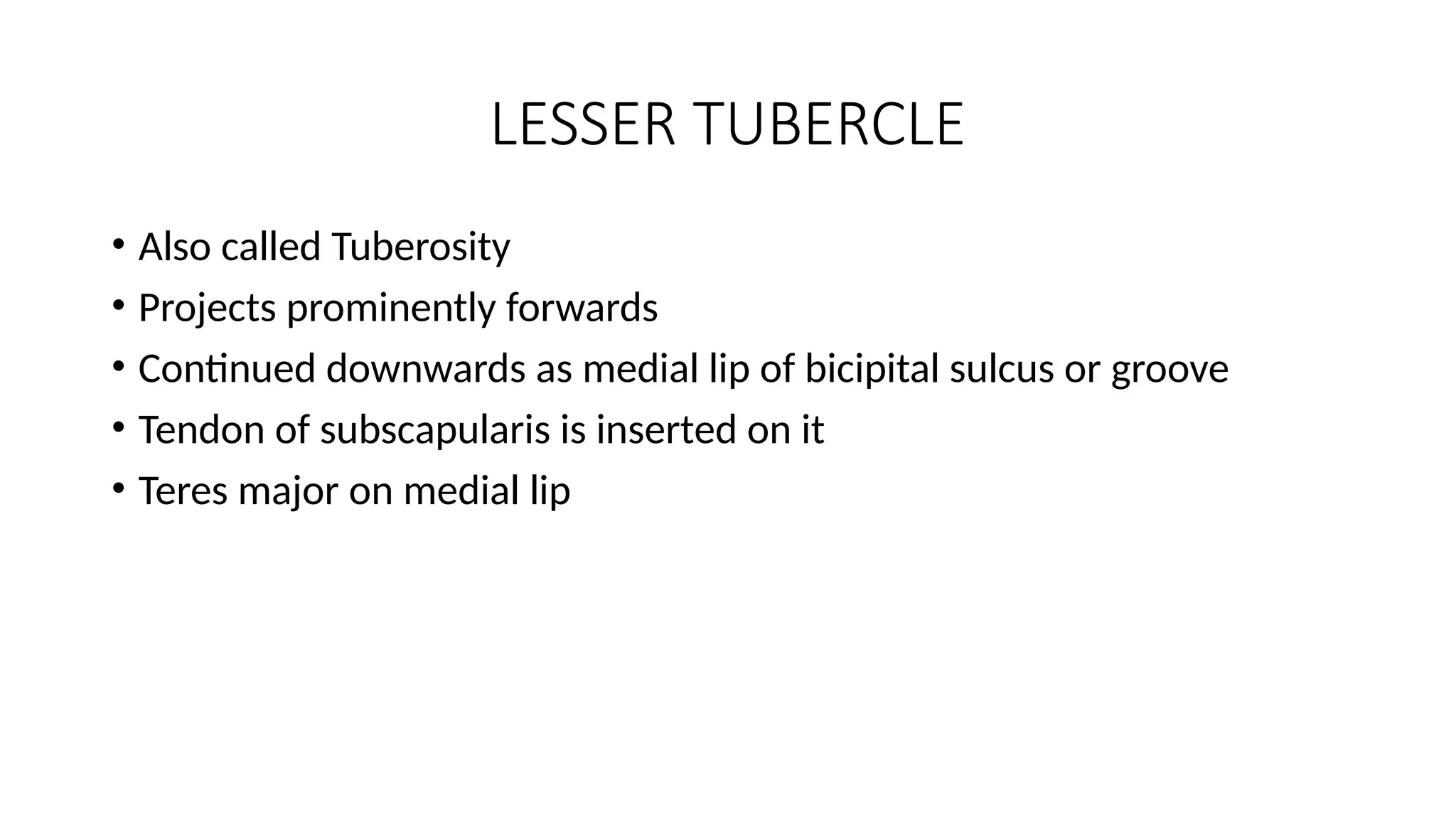 LESSER TUBERCLE
• Also called Tuberosity
• Projects prominently forwards
• Continued downwards as medial lip of bicipital sulcus or groove
• Tendon of subscapularis is inserted on it
• Teres major on medial lip
 