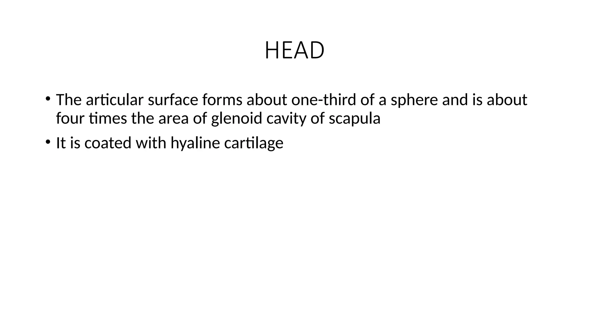 HEAD
• The articular surface forms about one-third of a sphere and is about
four times the area of glenoid cavity of scapula
• It is coated with hyaline cartilage
 