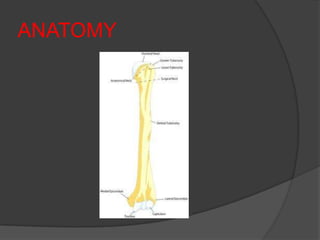ANATOMY
 