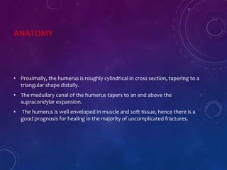 ANATOMY
• Proximally, the humerus is roughly cylindrical in cross section, tapering to a
triangular shape distally.
• The medullary canal of the humerus tapers to an end above the
supracondylar expansion.
• The humerus is well enveloped in muscle and soft tissue, hence there is a
good prognosis for healing in the majority of uncomplicated fractures.
 