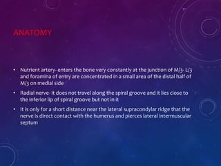 ANATOMY
• Nutrient artery- enters the bone very constantly at the junction of M/3- L/3
and foramina of entry are concentrated in a small area of the distal half of
M/3 on medial side
• Radial nerve- it does not travel along the spiral groove and it lies close to
the inferior lip of spiral groove but not in it
• It is only for a short distance near the lateral supracondylar ridge that the
nerve is direct contact with the humerus and pierces lateral intermuscular
septum
 
