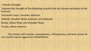 • Muscle Strength:
Improve the strength of the following muscles that are injured secondary to the
fracture;
Pectoralis major: shoulder adductor
Deltoid: shoulder flexor, extensor, and abductor
Biceps: elbow flexor and shoulder flexor
Triceps: elbow extensor
The rotator cuff muscles, supraspinatus, infraspinatus, and teres minor do
not usually require aggressive rehabilitation.
 
