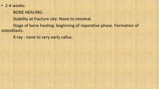 • 2-4 weeks:
BONE HEALING:
Stability at fracture site: None to minimal.
Stage of bone healing: beginning of reparative phase. Formation of
osteoblasts.
X-ray : none to very early callus.
 