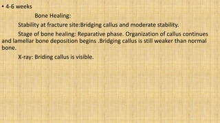 • 4-6 weeks
Bone Healing:
Stability at fracture site:Bridging callus and moderate stability.
Stage of bone healing: Reparative phase. Organization of callus continues
and lamellar bone deposition begins .Bridging callus is still weaker than normal
bone.
X-ray: Briding callus is visible.
 